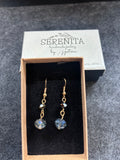 Blue silver tone earrings